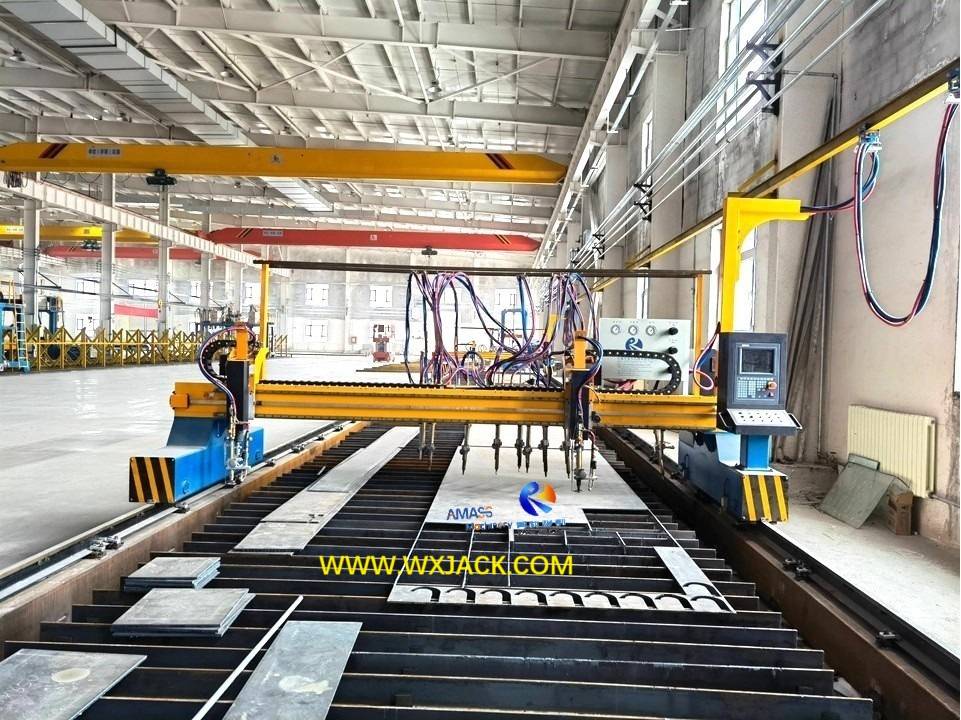 Stable Running CG5000 Double Drive CNC Strip Flame Plate Cutting Machine
